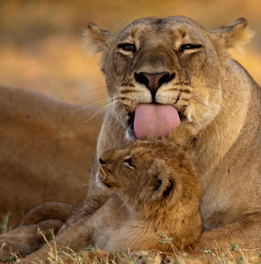 Ảnh: BrightSide Ảnh: BrightSide