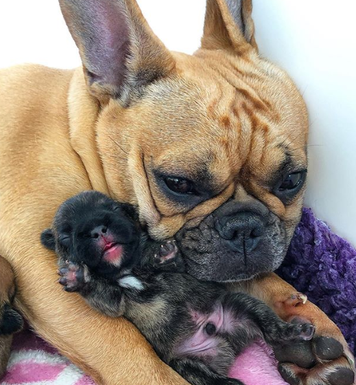 Ảnh: BrightSide Ảnh: BrightSide