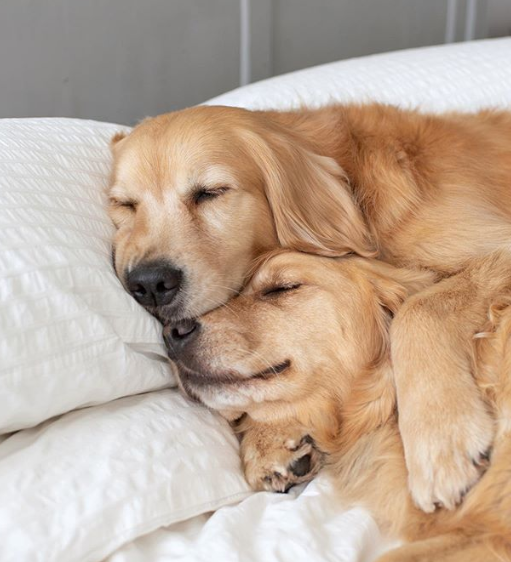 Ảnh: BrightSide Ảnh: BrightSide