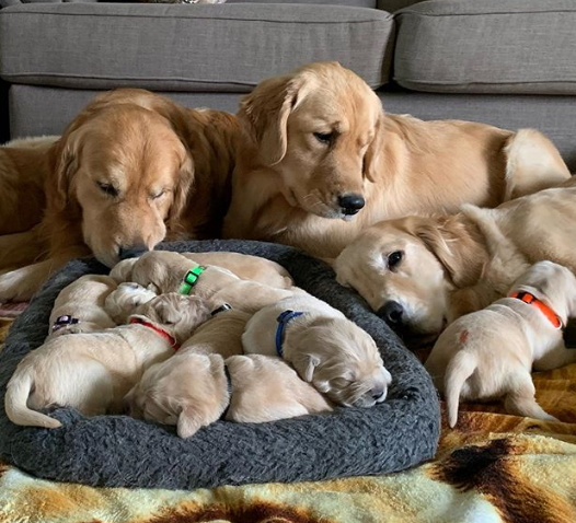 Ảnh: BrightSide Ảnh: BrightSide