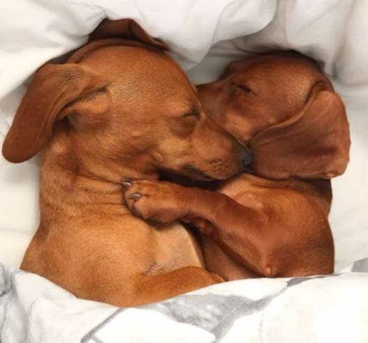 Ảnh: BrightSide Ảnh: BrightSide