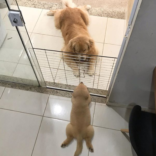 Ảnh: BrightSide Ảnh: BrightSide