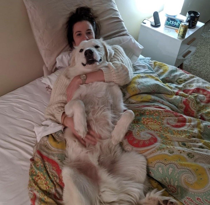 Ảnh: BrightSide Ảnh: BrightSide