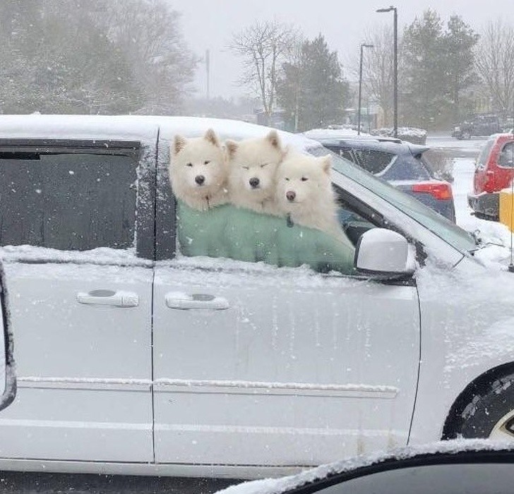 Ảnh: BrightSide Ảnh: BrightSide