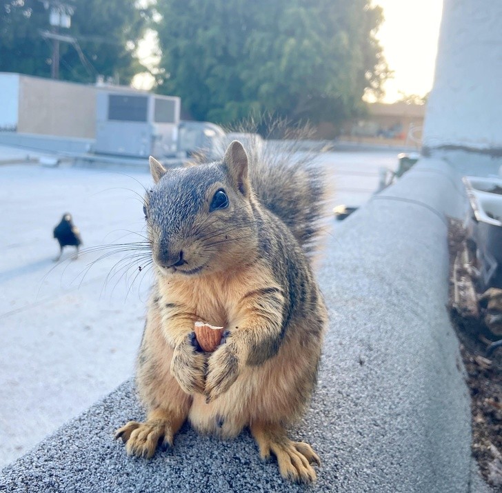 Ảnh: BrightSide Ảnh: BrightSide