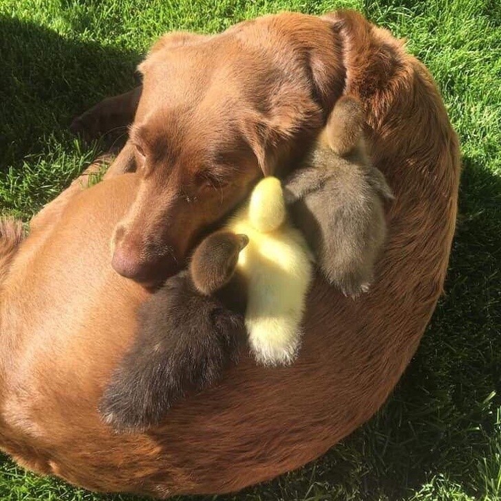 Ảnh: BrightSide Ảnh: BrightSide