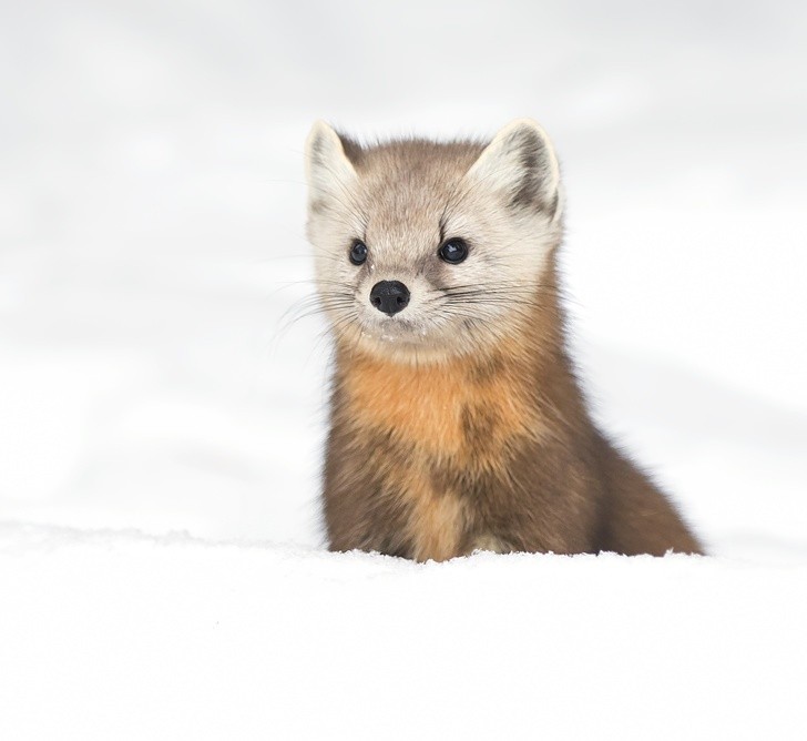 Ảnh: BrightSide Ảnh: BrightSide