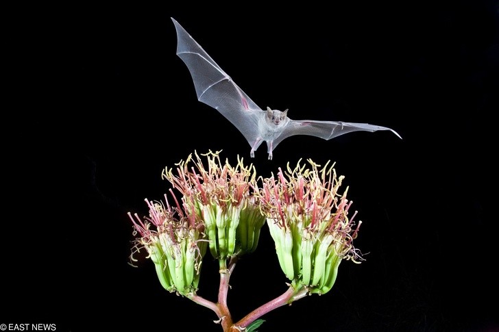 Ảnh: BrightSide Ảnh: BrightSide