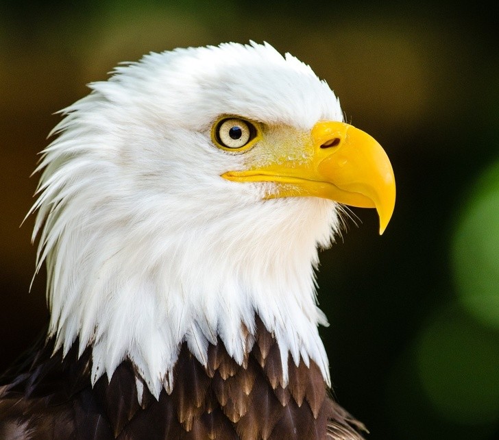 Ảnh: BrightSide Ảnh: BrightSide