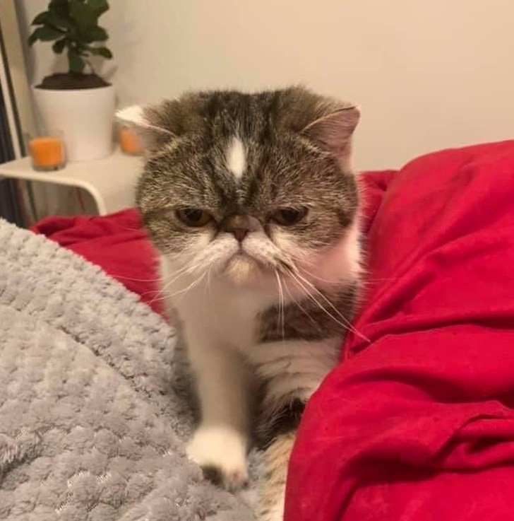 Ảnh: BrightSide Ảnh: BrightSide