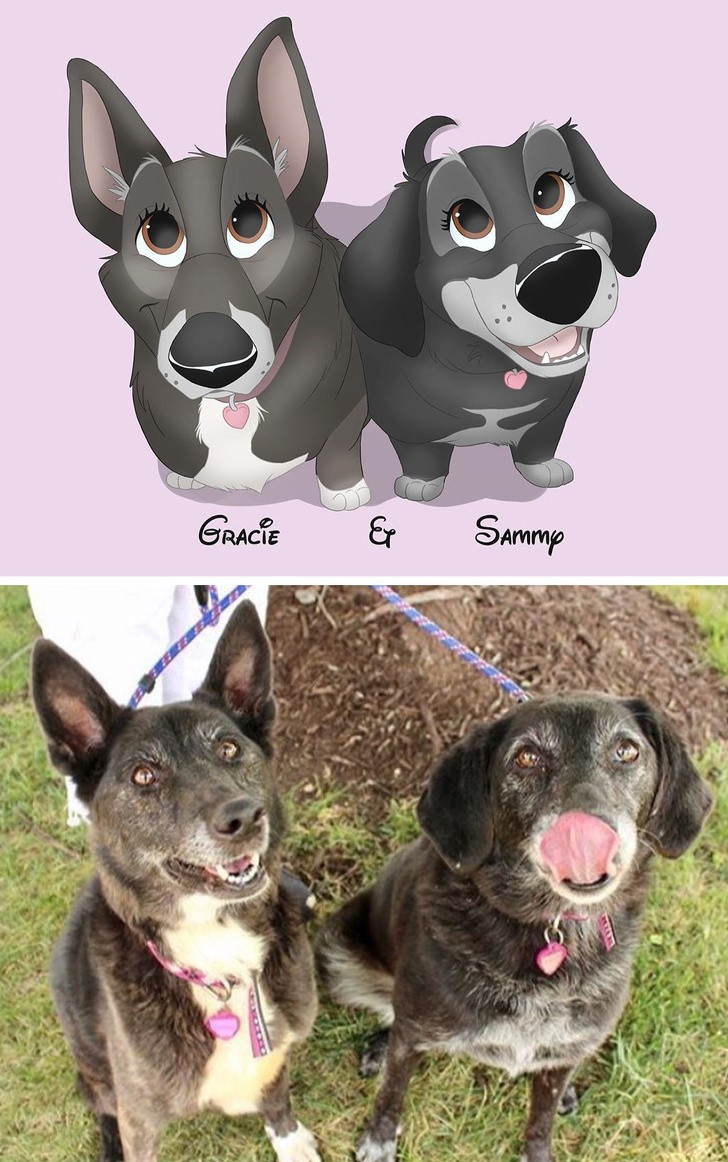 Ảnh: BrightSide Ảnh: BrightSide