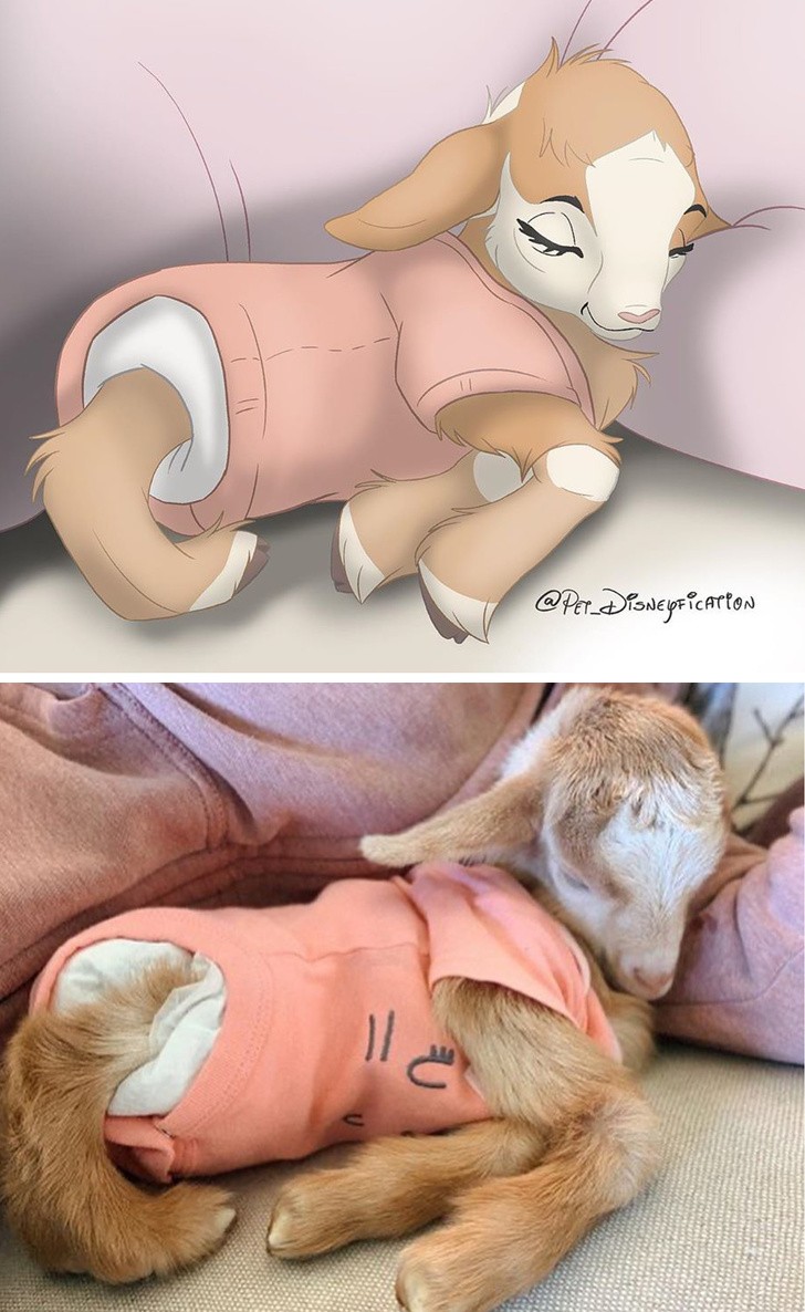 Ảnh: BrightSide Ảnh: BrightSide