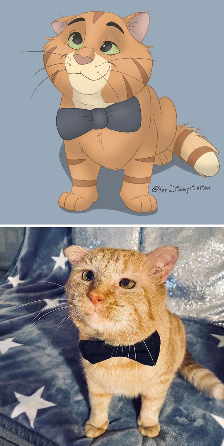 Ảnh: BrightSide Ảnh: BrightSide