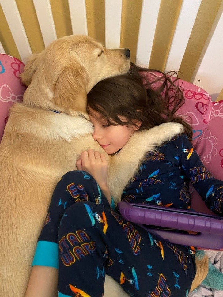 Ảnh: BrightSide Ảnh: BrightSide