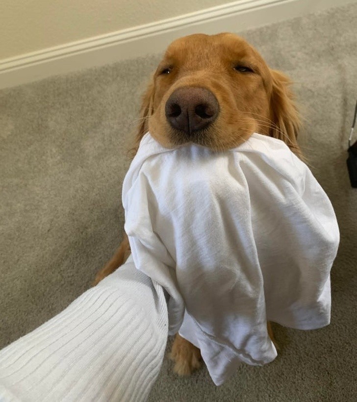 Ảnh: BrightSide Ảnh: BrightSide