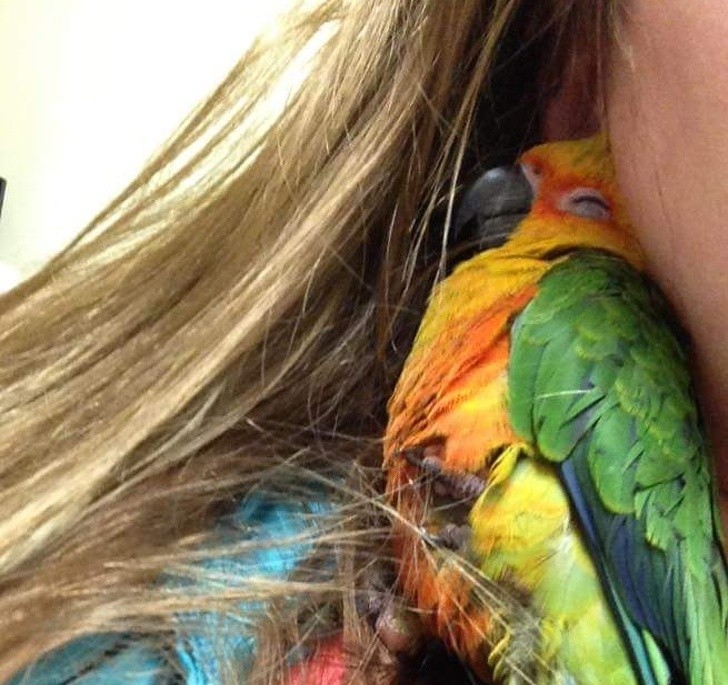 Ảnh: BrightSide Ảnh: BrightSide