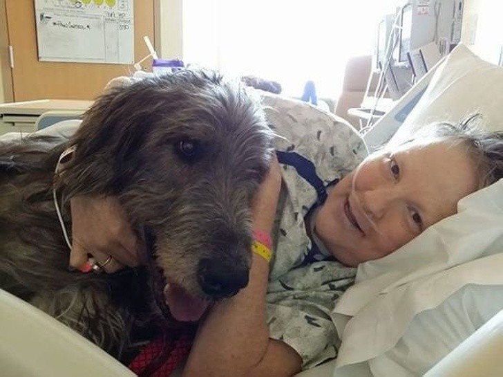 Ảnh: BrightSide Ảnh: BrightSide