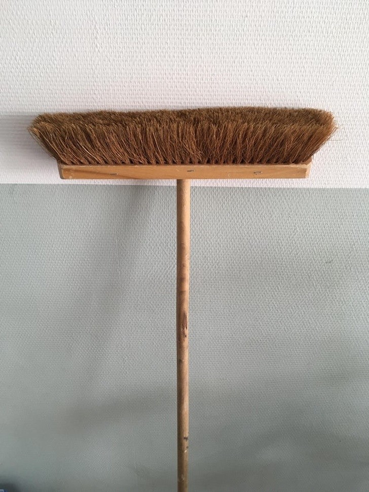 Ảnh: BrightSide Ảnh: BrightSide