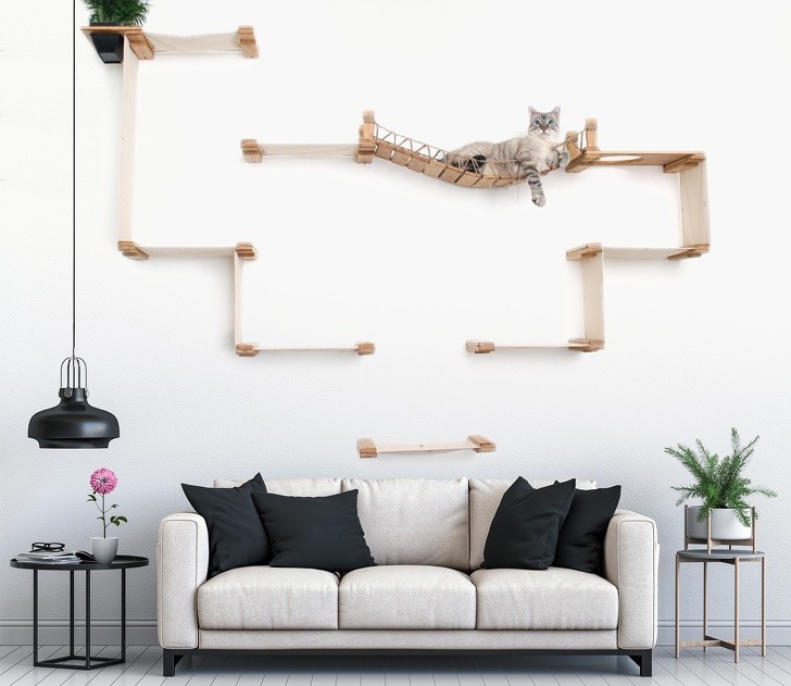 Ảnh: BrightSide Ảnh: BrightSide