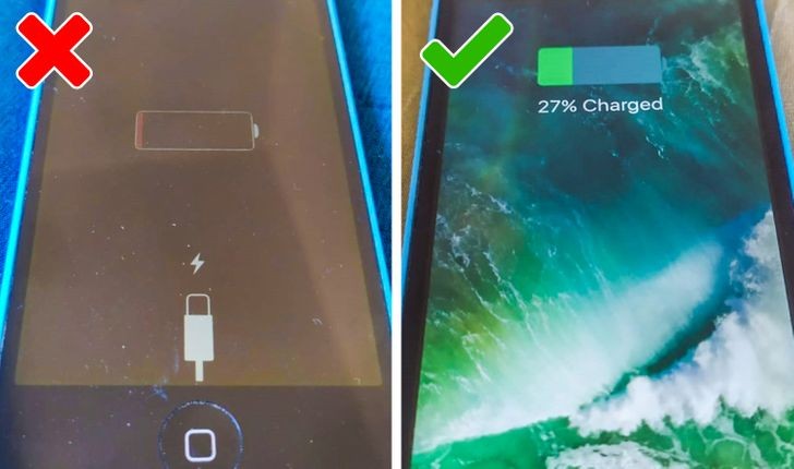 Ảnh: BrightSide Ảnh: BrightSide