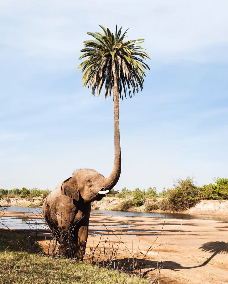 Ảnh: BrightSide Ảnh: BrightSide