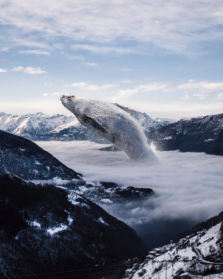 Ảnh: BrightSide Ảnh: BrightSide