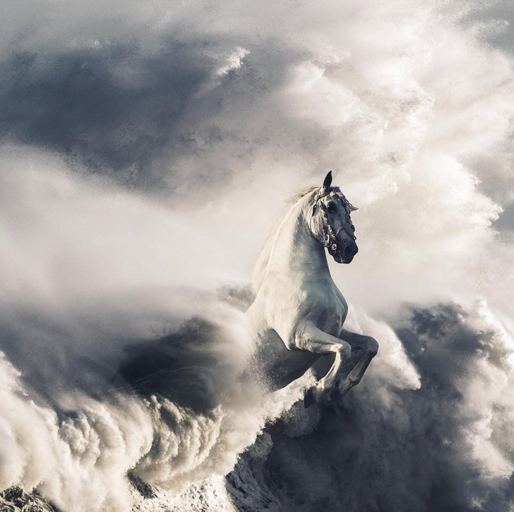 Ảnh: BrightSide Ảnh: BrightSide