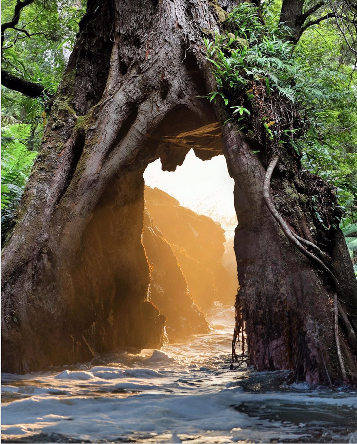 Ảnh: BrightSide Ảnh: BrightSide