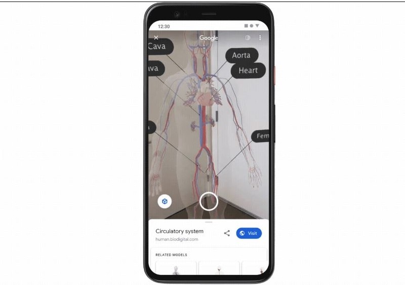 Hệ tuần hoàn hiển thị 3D rất trực quan qua công nghệ AR trên Google Search. Ảnh: Google Hệ tuần hoàn hiển thị 3D rất trực quan qua công nghệ AR trên Google Search. Ảnh: Google