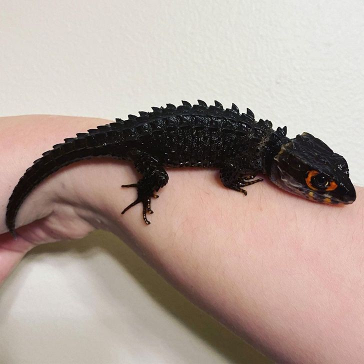 Ảnh: BrightSide Ảnh: BrightSide