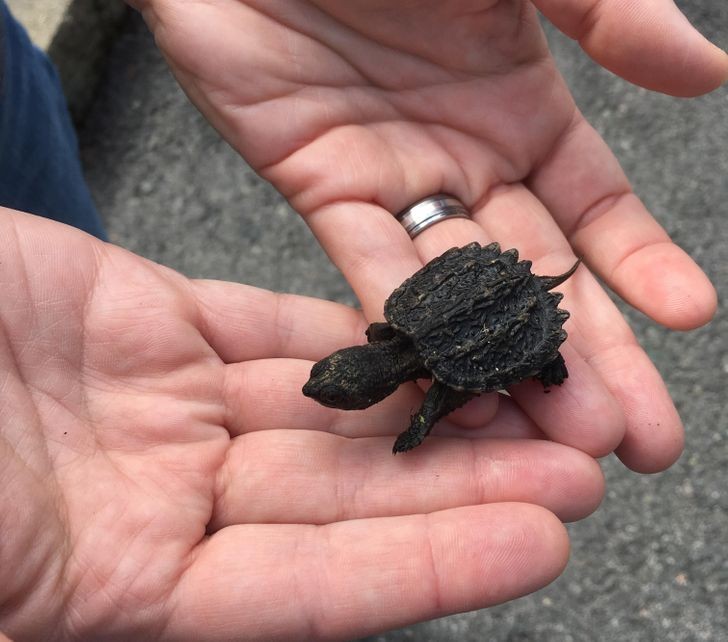 Ảnh: BrightSide Ảnh: BrightSide