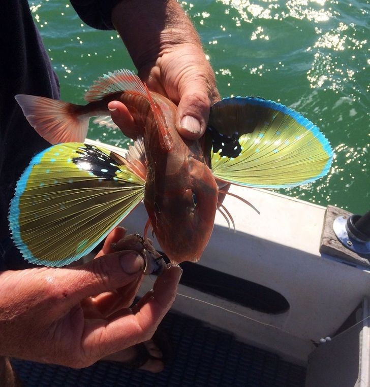 Ảnh: BrightSide Ảnh: BrightSide