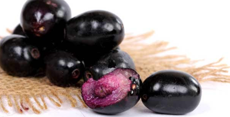 Bạn có thể sử dụng quả trâm như một món ăn vặt hàng ngày. (Ảnh: NDTV Food) Bạn có thể sử dụng quả trâm như một món ăn vặt hàng ngày. (Ảnh: NDTV Food)