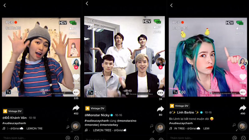 Giai điệu của ca khúc cổ điển Lemon Tree quay trở lại thành xu hướng &quot;gây sốt&quot; thời gian qua.