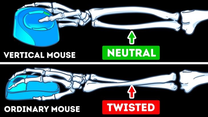 Ảnh: BrightSide Ảnh: BrightSide