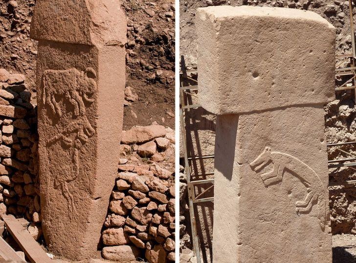 Ảnh: BrightSide Ảnh: BrightSide