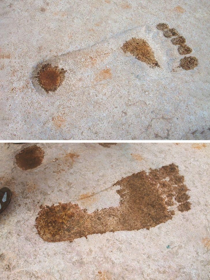 Ảnh: BrightSide Ảnh: BrightSide