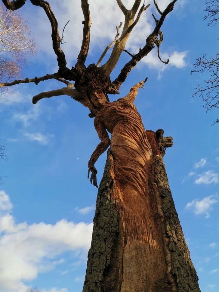 Ảnh: BrightSide Ảnh: BrightSide