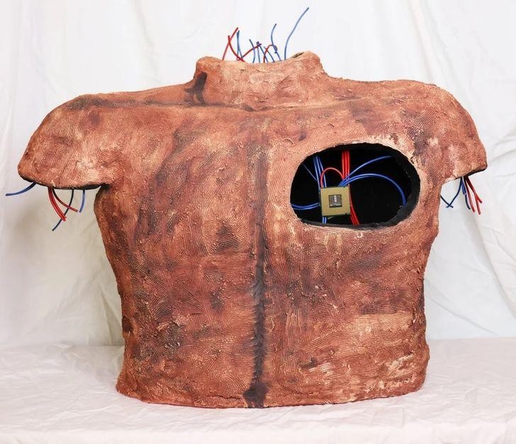 Ảnh: BrightSide Ảnh: BrightSide