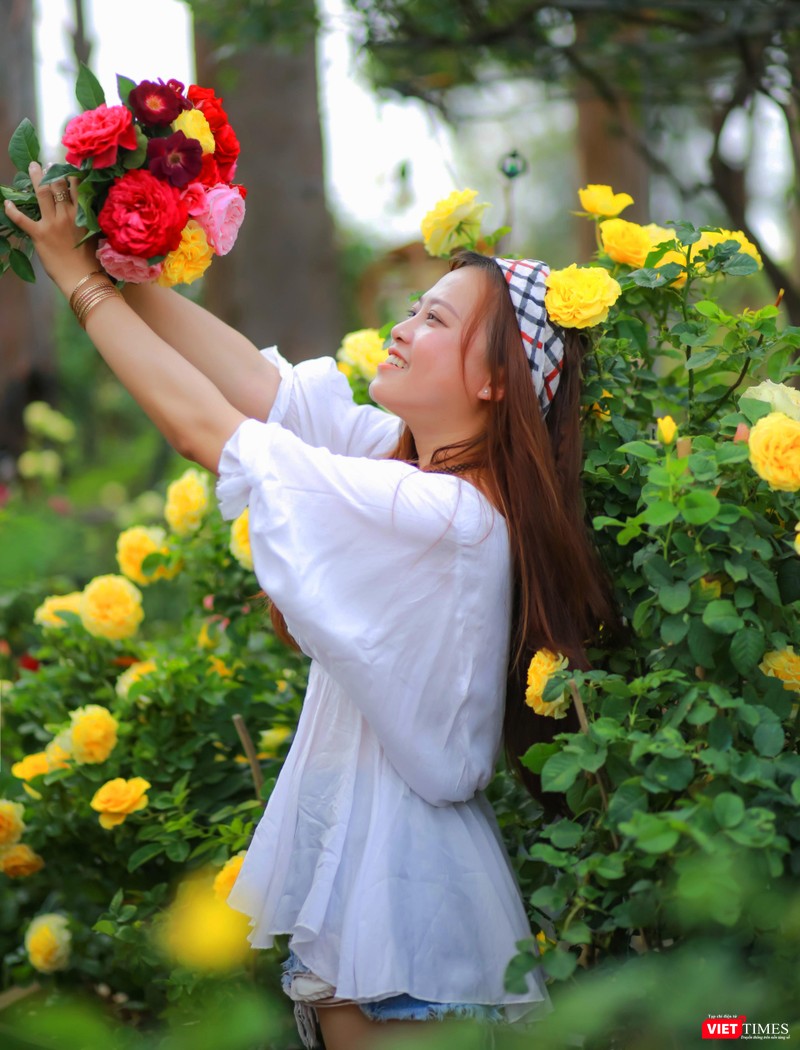 Hạnh phúc tại vườn hồng Ban Mê Garden Hạnh phúc tại vườn hồng Ban Mê Garden