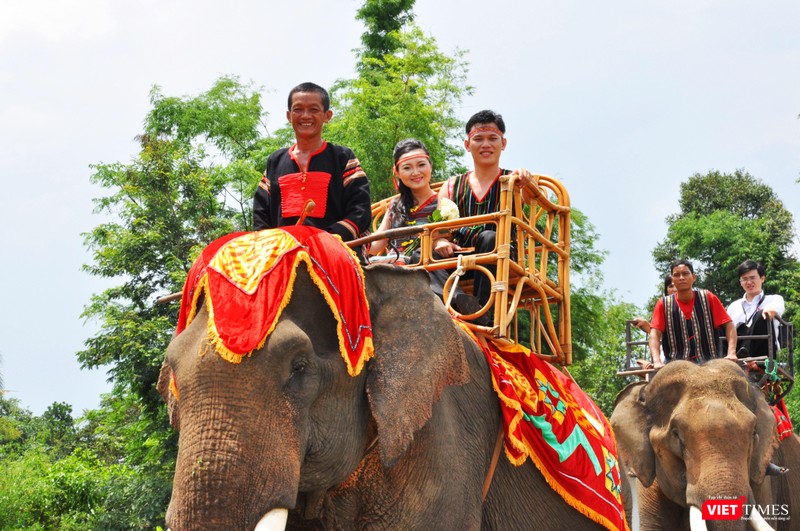 Nụ cười hạnh phúc, tươi tắn trên lưng voi Nụ cười hạnh phúc, tươi tắn trên lưng voi