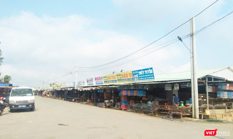 Chợ Nông sản Thạnh Hóa bây giờ, sau nhiều lần chấn chỉnh Chợ Nông sản Thạnh Hóa bây giờ, sau nhiều lần chấn chỉnh