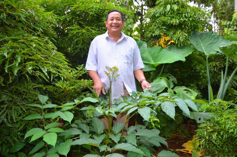 Anh thích loay hoay cả ngày trong những khu vườn xanh rì cây thuốc Anh thích loay hoay cả ngày trong những khu vườn xanh rì cây thuốc