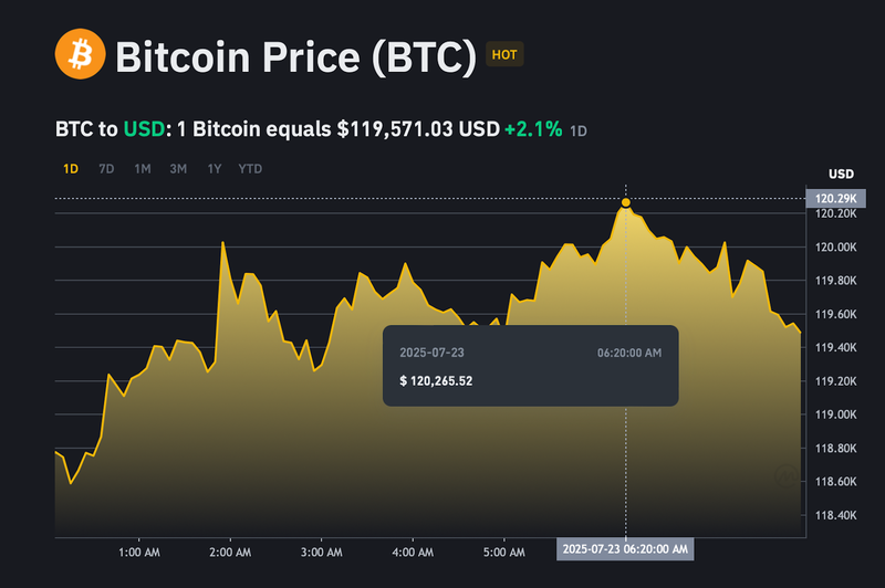 Giá bitcoin đạt đỉnh tại 120,265 USD/BTC trong vòng 24h qua. ad-4nxcwy8f0dadgox8z-ir-pvvc3ski4x5bqkhcbyi5noutkeuylmfkhgm2-frj6pnrowyrbfdtywugiqceovjm8jzyi0rca71ahp1wmw-hu-qigkmybethdeqjnqiuzt525mymmqzidg-8886.png