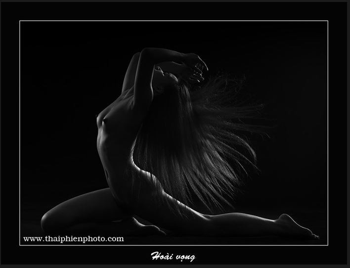 Hoài vọng- một trong những tác phẩm nổi tiếng của Thái Phiên