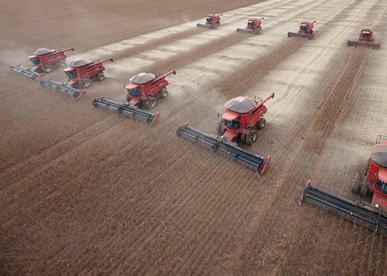 Thu hoạch đậu tương tại một nông trại Mỹ Thu hoạch đậu tương tại một nông trại Mỹ