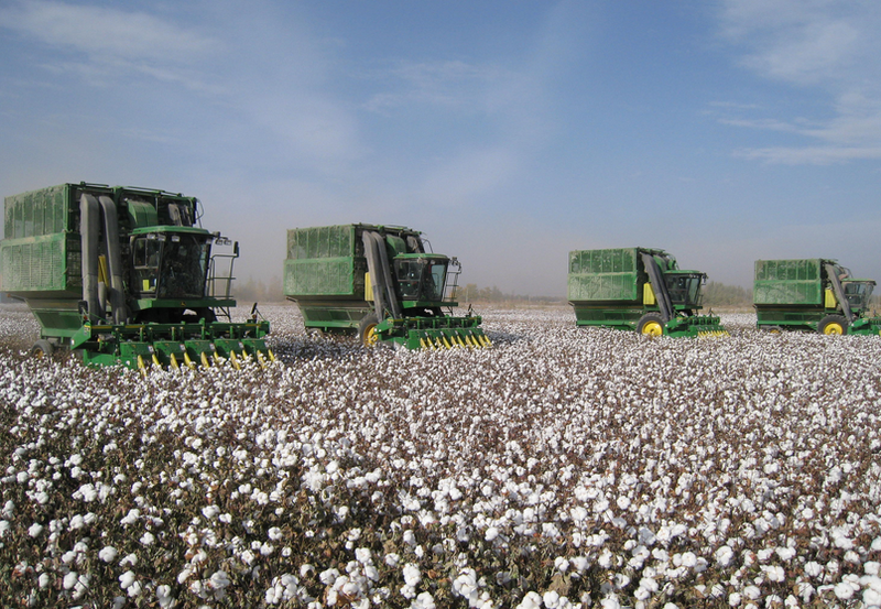 Các nhà sản xuất sợi Việt Nam sẽ được hưởng lợi khi giá bông ở Mỹ xuống đến đáy. Các nhà sản xuất sợi Việt Nam sẽ được hưởng lợi khi giá bông ở Mỹ xuống đến đáy.