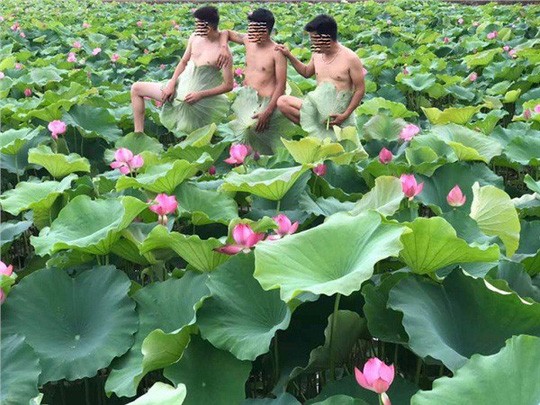 Cái đẹp chỉ có giá trị văn hóa khi được mọi người trong xã hội cảm nhận, công nhận về kết quả và hiệu ứng mà nó mang lại. Cái đẹp chỉ có giá trị văn hóa khi được mọi người trong xã hội cảm nhận, công nhận về kết quả và hiệu ứng mà nó mang lại.