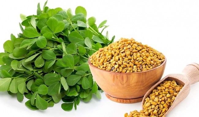 Cỏ cà ri giúp kiểm soát lượng đường trong cơ thể