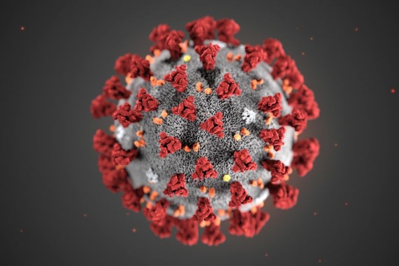 Coronavirus. Ảnh: EPA-EFE/CDC Coronavirus. Ảnh: EPA-EFE/CDC